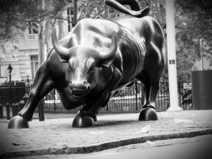 bull market