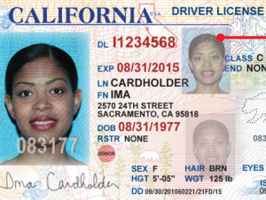 new_california_driver_license_100610