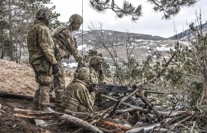 'N .50 machine gun crew is given explains their employment of the weapon to 173rd Airborne Brigade Commander, Kol. Jay Bartholomees, as the Brigade Support Battalion conducts base defense live fire training in Slovenia.