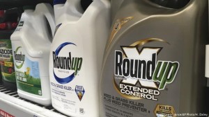 Bayer Roundup